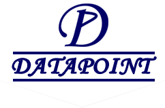 DataPoint Logo